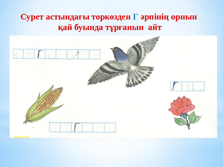 Сурет астындағы торкөзден Г әрпінің орнын қай буында тұрғанын айт