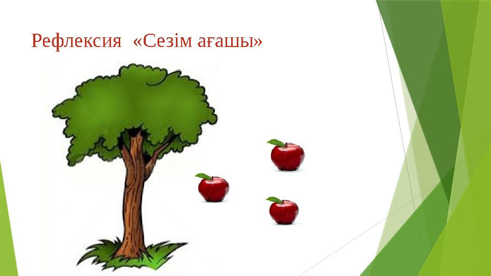 Рефлексия «Сезім ағашы» Рефлексия «Сезім ағашы»