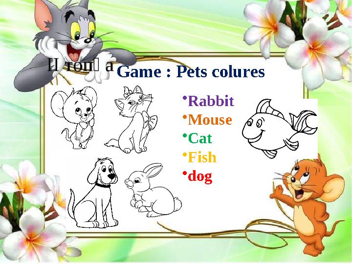Game : Pets colures • Rabbit • Mouse • Cat • Fish • dog