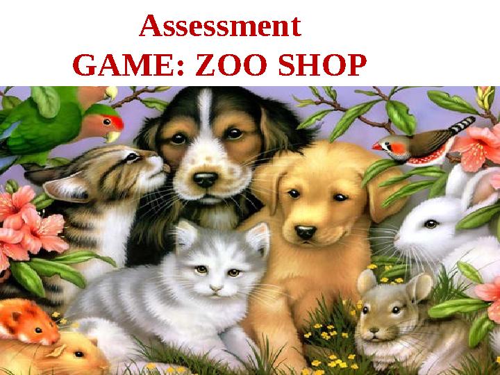 Assessment GAME: ZOO SHOP