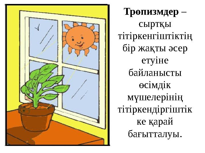 Киберсексуалдық деректер өмірінің қозғалтқышы