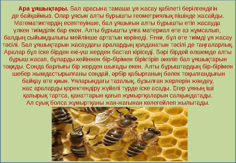 Ара ұяшықтары . Б ал арасына тамаша ұя жасау қабілеті берілгендігін де байқаймыз. Олар ұясын алты бұрышты геометриялық піші