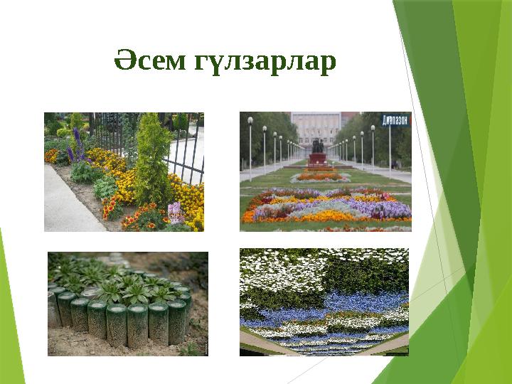 Әсем гүлзарлар