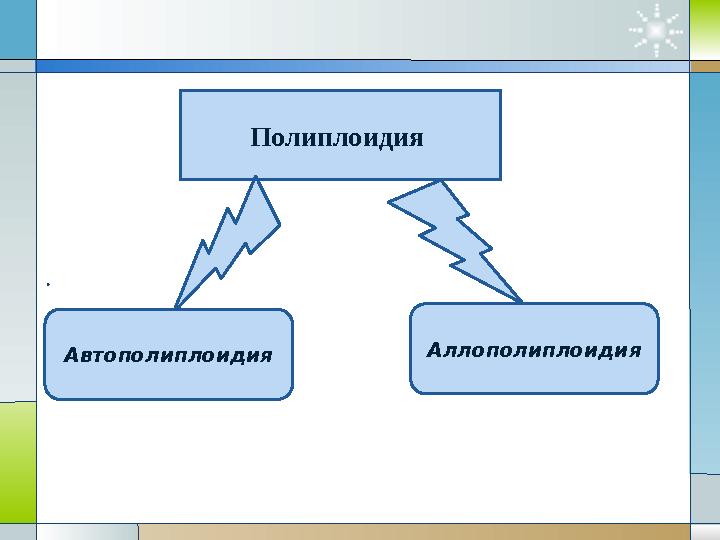 . Полиплоидия Автополиплоидия Аллополиплоидия