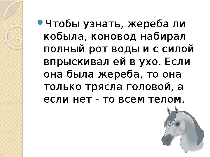  Чтобы узнать, жереба ли кобыла, коновод набирал полный рот воды и с силой впрыскивал ей в ухо. Если она была жереба, то он