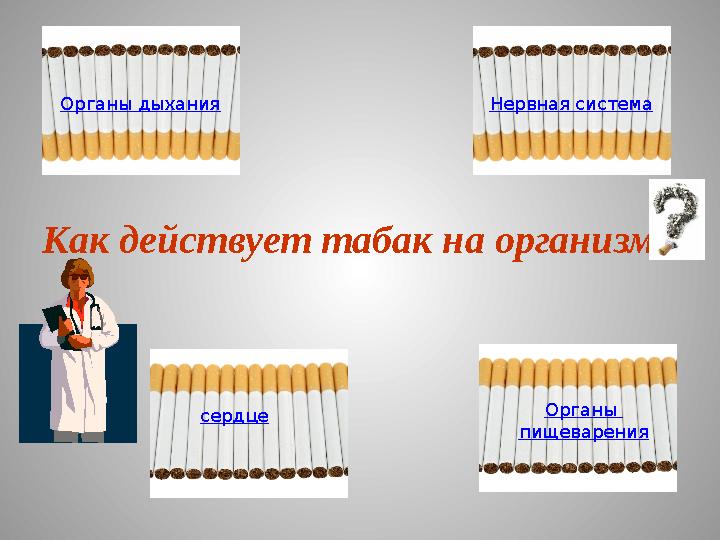 Как действует табак на организм Органы дыхания Нервная система сердце Органы пищеварения