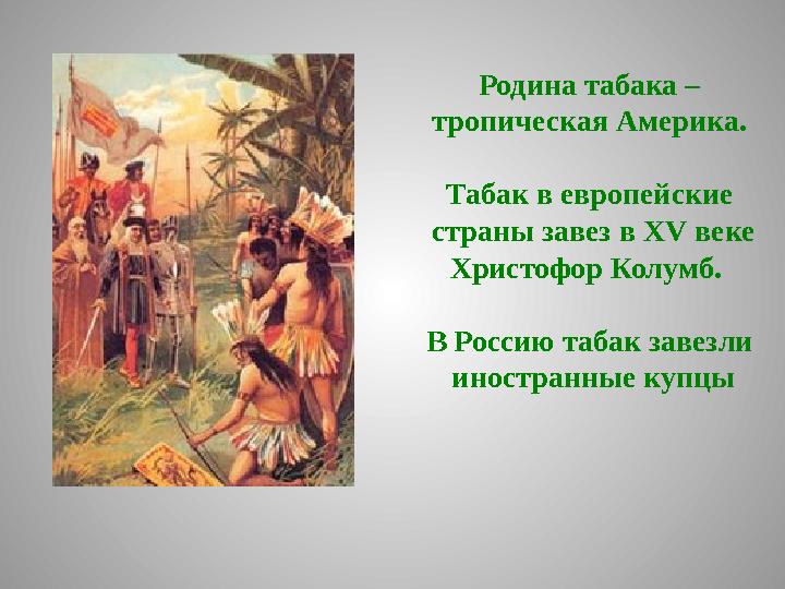 Родина табака – тропическая Америка. Табак в европейские страны завез в XV веке Христофор Колумб. В Россию табак завезли