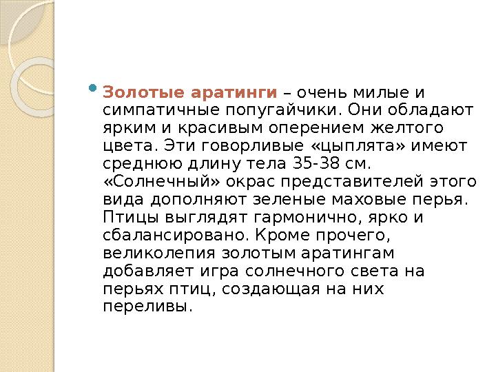  Золотые аратинги – очень милые и симпатичные попугайчики. Они обладают ярким и красивым оперением желтого цвета. Эти говор