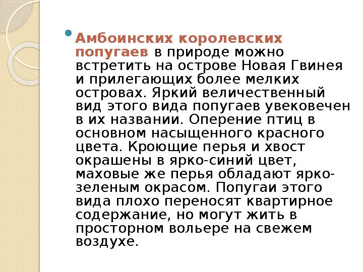  Амбоинских королевских попугаев в природе можно встретить на острове Новая Гвинея и прилегающих более мелких островах. Яр