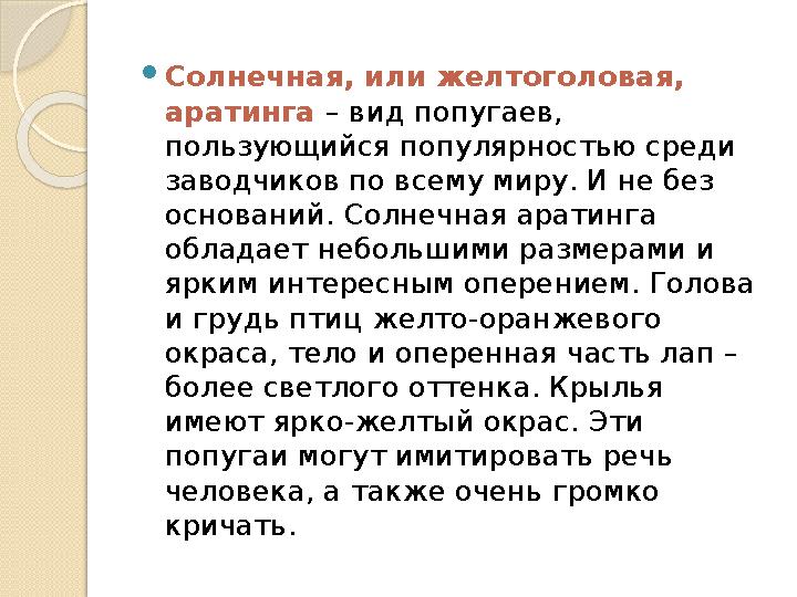  Солнечная, или желтоголовая, аратинга – вид попугаев, пользующийся популярностью среди заводчиков по всему миру. И не без