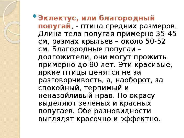  Эклектус, или благородный попугай , - птица средних размеров. Длина тела попугая примерно 35-45 см, размах крыльев – около