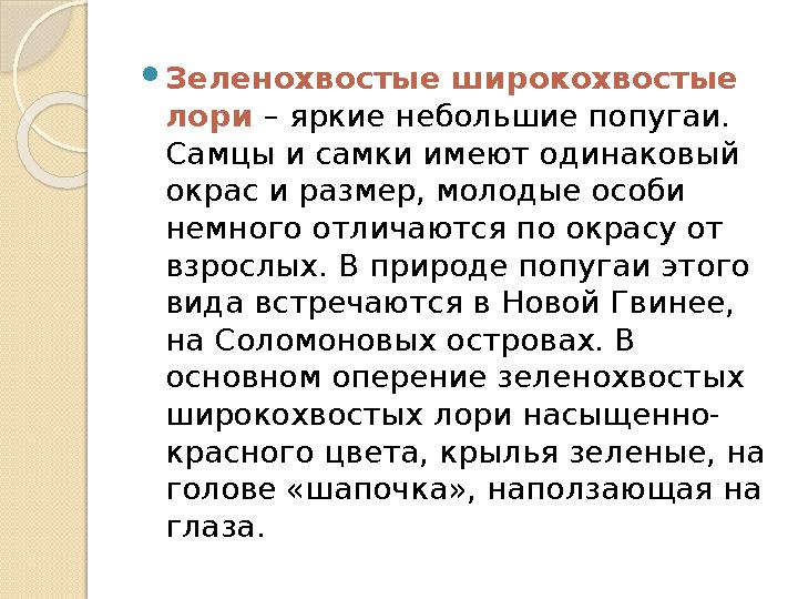  Зеленохвостые широкохвостые лори – яркие небольшие попугаи. Самцы и самки имеют одинаковый окрас и размер, молодые особи