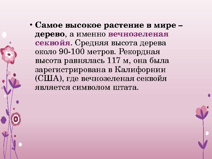 • Самое высокое растение в мире – дерево , а именно вечнозеленая секвойя . Средняя высота дерева около 90-100 метров. Рекорд