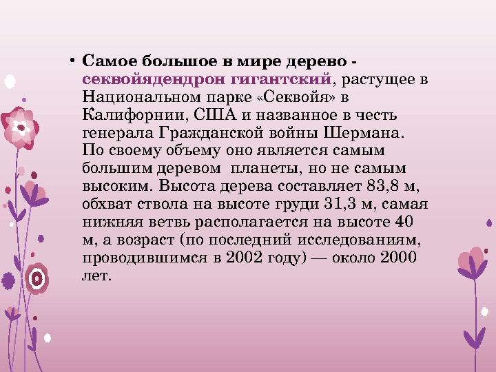 • Самое большое в мире дерево - секвойядендрон гигантский , растущее в Национальном парке «Секвойя» в Калифорнии, США и назва