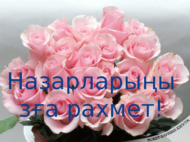 Назарларыңы зға рахмет!