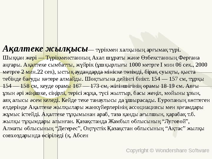 Copyright © Wondershare Software Ақалтеке жылқысы— түрікмен халқының арғымақ түрі. Шыққан жері — Түрікменстанның Ахал шұраты жән