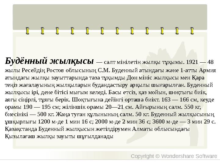 Copyright © Wondershare Software Будённый жылқысы — салт мінілетін жылқы тұқымы. 1921 — 48 жылы Ресейдің Ростов облысының С.М.