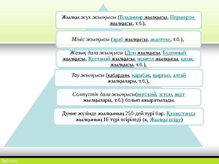 Жылқы жүк жылқысы (Владимир жылқысы, Першерон жылқысы, т.б.), Мініс жылқысы (араб жылқысы, ақалтеке, т.б.), Жазық дала жыл