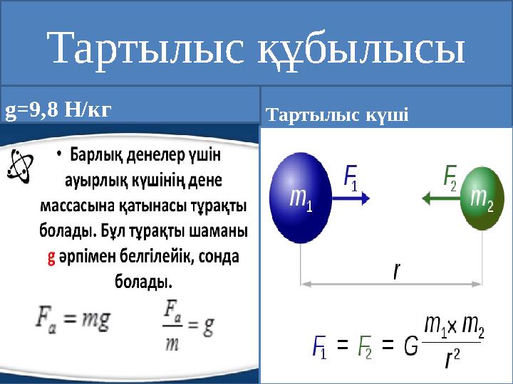 Тартылыс құбылысы g=9,8 H/к г Тартылыс күші