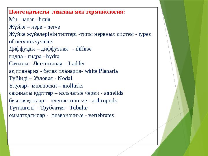 Пәнге қатысты лексика мен терминология: Ми – мозг - brain Жүйке – нерв - nerve Жүйке жүйелерінің типтері -типы нервных систем
