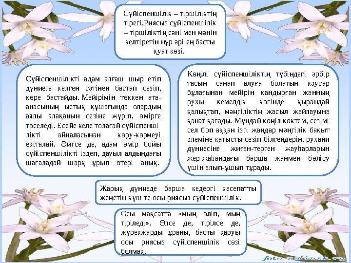 Кеңседе сүйіспеншілік