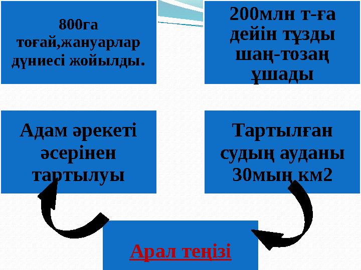 800га тоғай,жануарлар дүниесі жойылды . 200млн т-ға дейін тұзды шаң-тозаң ұшады Адам әрекеті әсерінен тартылуы Тартылған