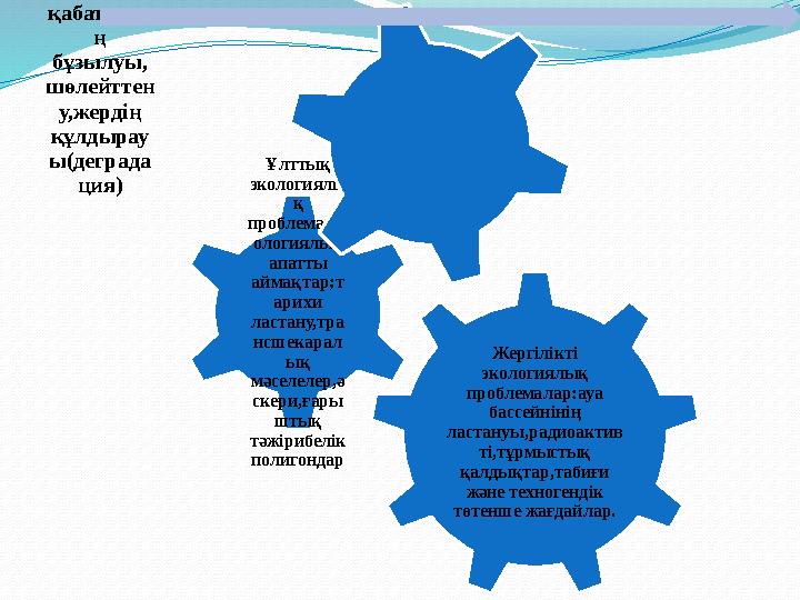 Жергілікті экологиялық проблемалар:ауа бассейнінің ластануы,радиоактив ті,тұрмыстық қалдықтар,табиғи және техногендік төт