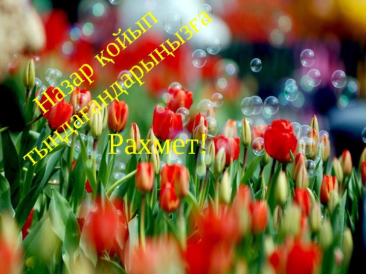 35..... Н а з а р қ о й ы п т ы ң д а ғ а н д а р ы ң ы з ғ а Рахмет!