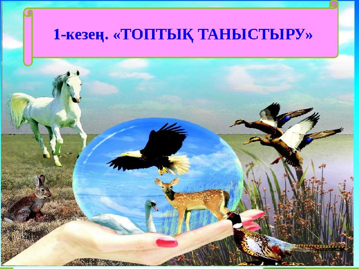 1-кезең. «ТОПТЫҚ ТАНЫСТЫРУ»