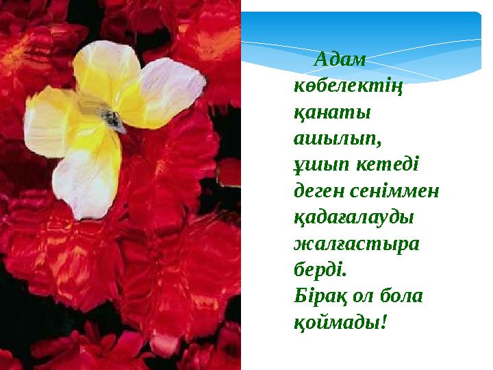 Адам көбелектің қанаты ашылып, ұшып кетеді деген сеніммен қадағалауды жалғастыра берді. Бірақ ол бола қ