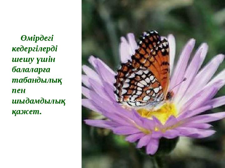 Өмірдегі кедергілерді шешу үшін балаларға табандылық пен шыдамдылық қажет.