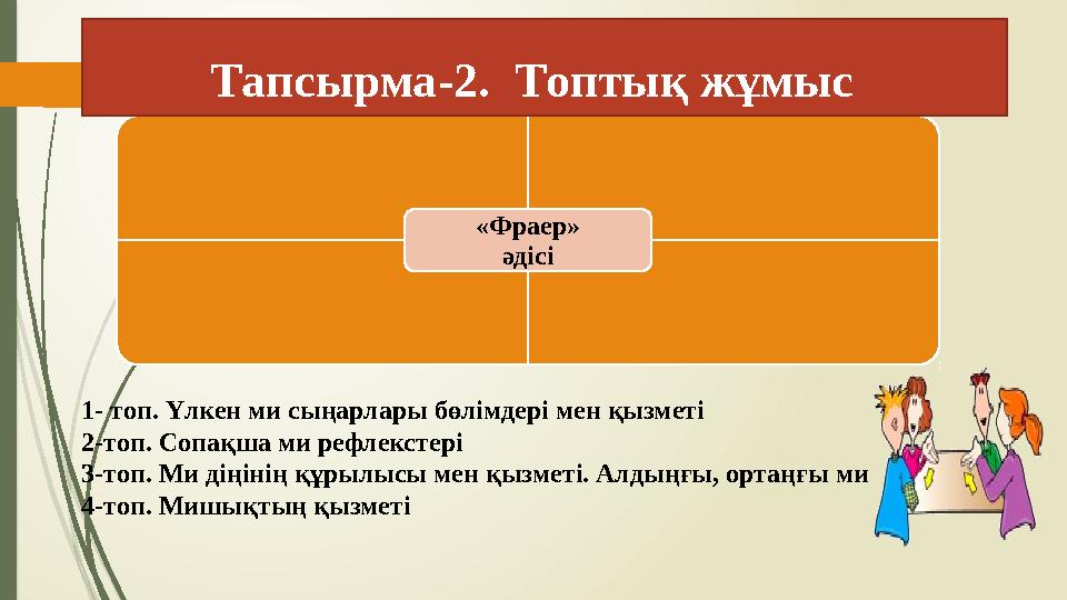 а н ы қ т а м а е р е к ш е л і г і м ы с а л и д е я«Фраер» әдісі 1- топ. Үлкен ми сыңарлары бөлімдері мен қызметі 2-топ. Сопақ