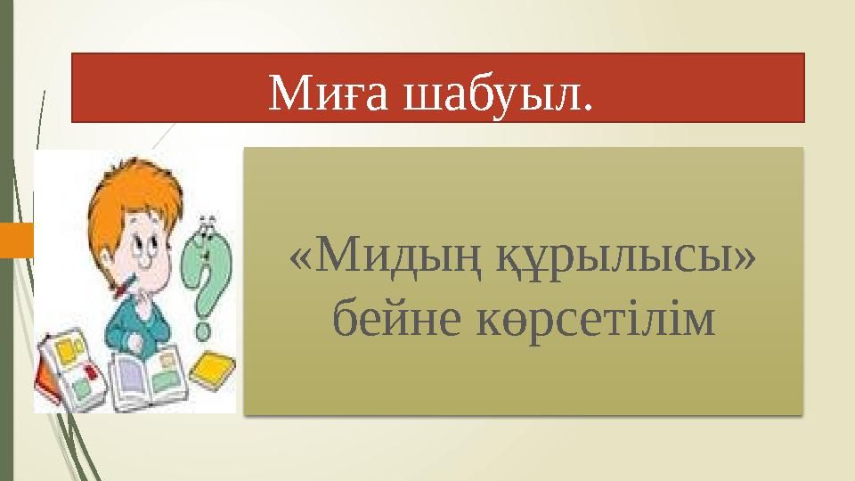 Миға шабуыл. «Мидың құрылысы» бейне көрсетілім