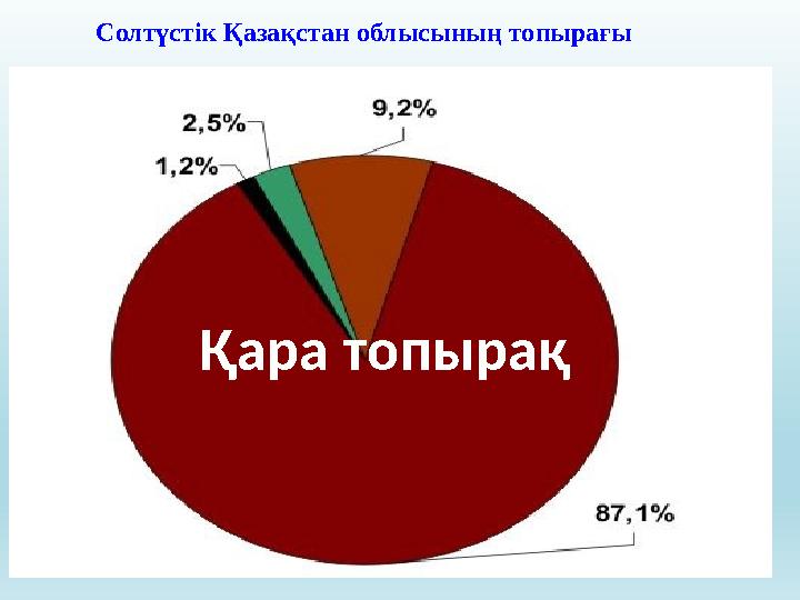 Солтүстік Қазақстан облысының топырағы Қара топырақ