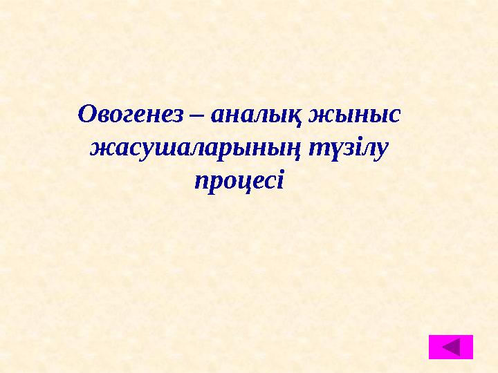 Овогенез – аналық жыныс жасушаларының түзілу процесі