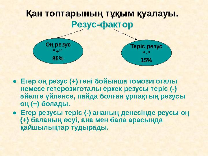 Қан топтарының тұқым қуалауы. Резус-фактор ● Егер оң резус (+) гені бойынша гомозиготалы немесе гетерозиготалы еркек резусы т