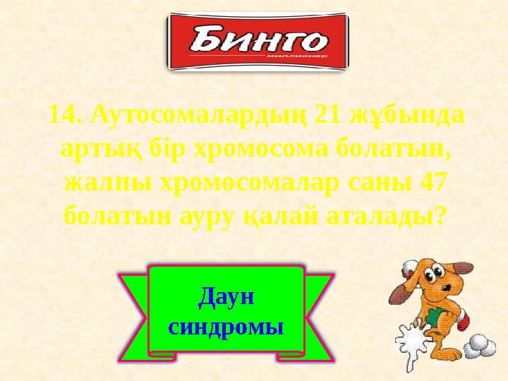 14. Аутосомалардың 21 жұбында артық бір хромосома болатын, жалпы хромосомалар саны 47 болатын ауру қалай аталады? Даун синд