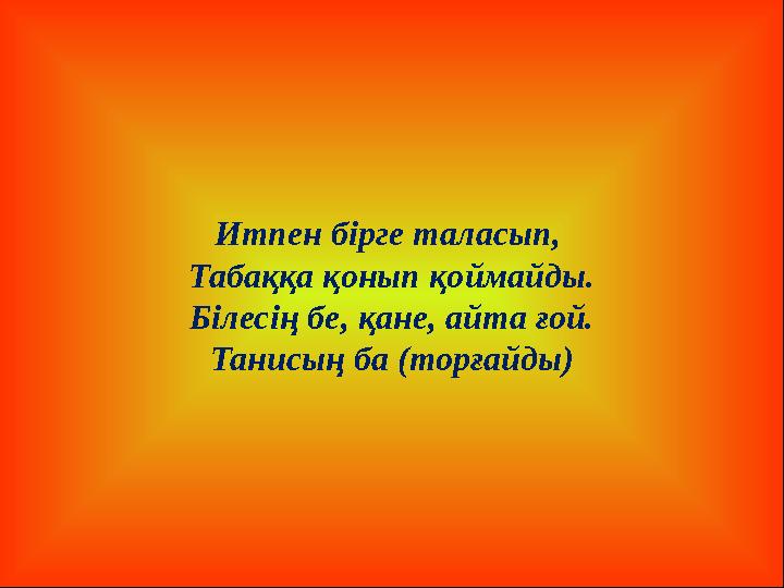 Итпен бірге таласып , Табаққа қонып қоймайды. Білесің бе, қане, айта ғой. Танисың ба (торғайды)