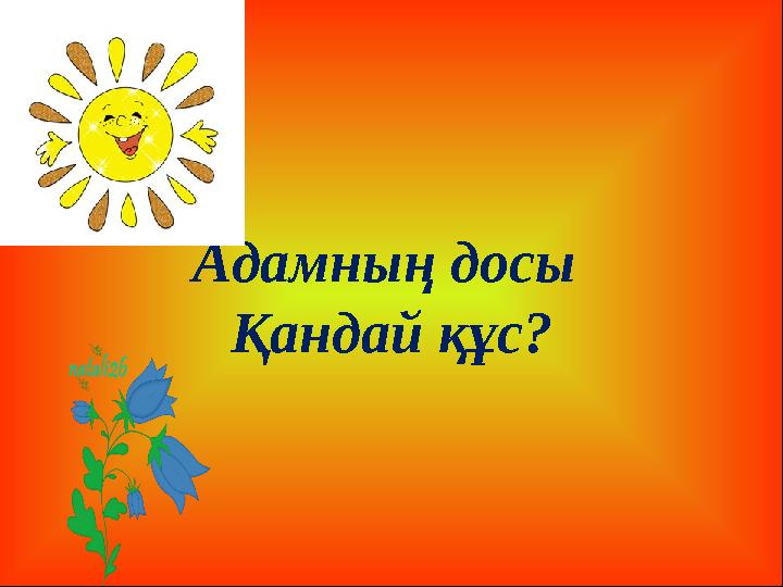 Адамның досы Қандай құс?