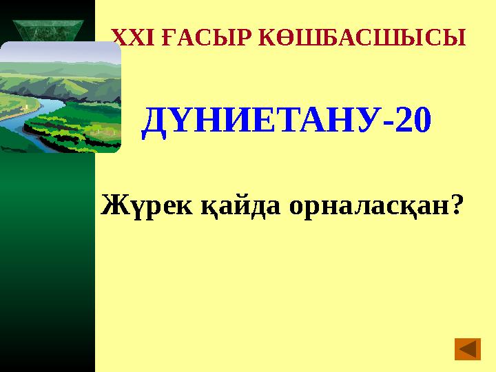 XXI ҒАСЫР КӨШБАСШЫСЫ ДҮНИЕТАНУ-20 Жүрек қайда орналасқан?