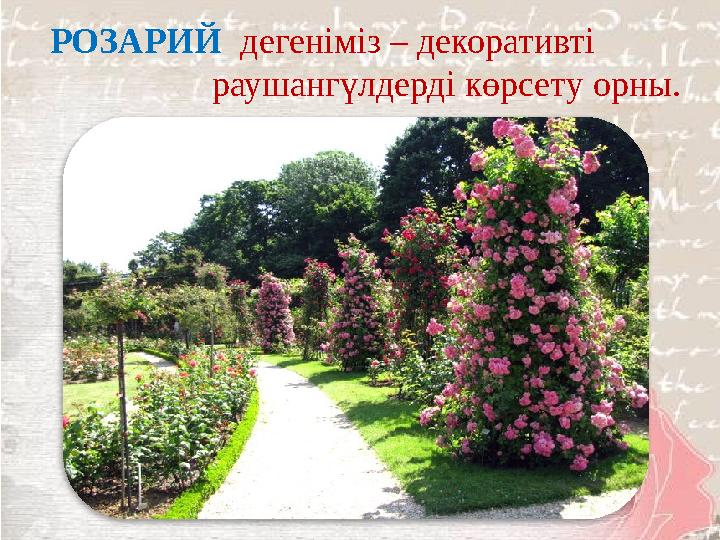 РОЗАРИЙ дегеніміз – декоративті раушангүлдерді көрсету орны.