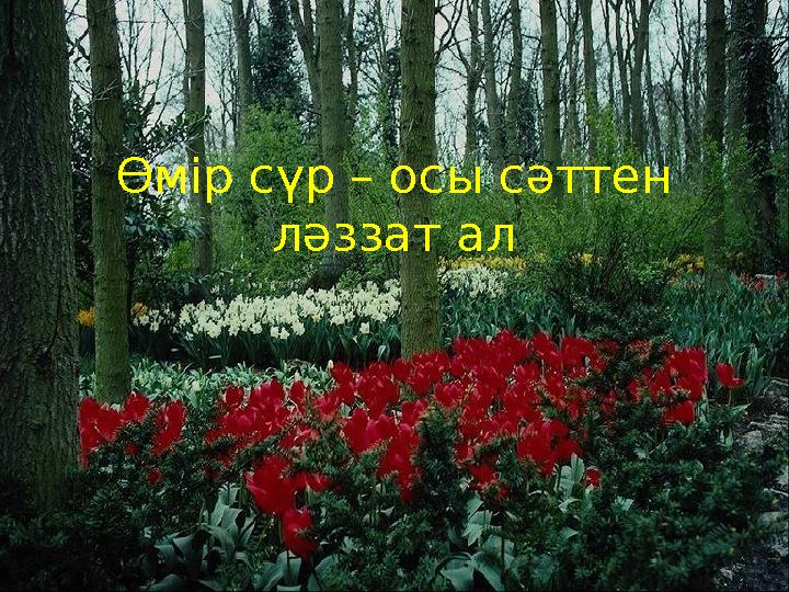 Өмір сүр – осы сәттен ләззат ал
