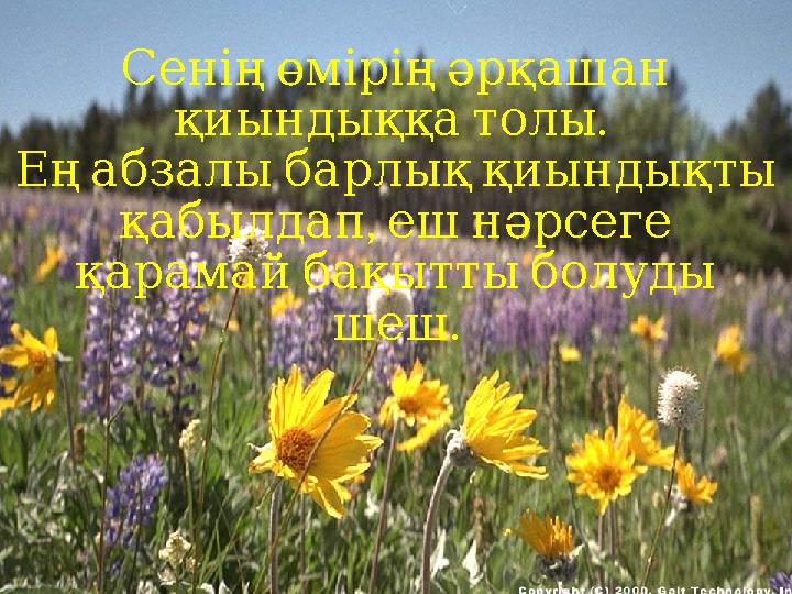 Сенің өмірің әрқашан . қиындыққа толы Ең абзалы барлық қиындықты , қабылдап еш нәрсеге қарамай ба