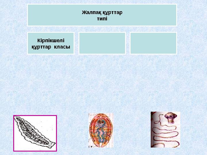 Арық шашты порно