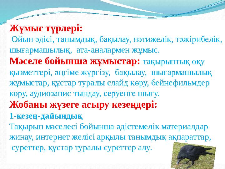 Жұмыс түрлері: Ойын әдісі, танымдық, бақылау, нәтижелік, тәжірибелік, шығармашылық, ата-аналармен жұмыс. Мәселе бойынша жұм