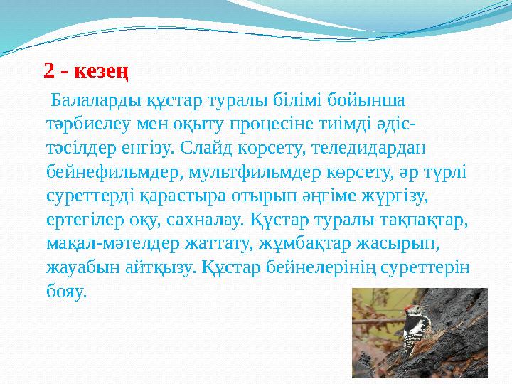 2 - кезең Балаларды құстар туралы білімі бойынша тәрбиелеу мен оқыту процесіне тиімді әдіс- тәсілдер енгізу. Слайд кө