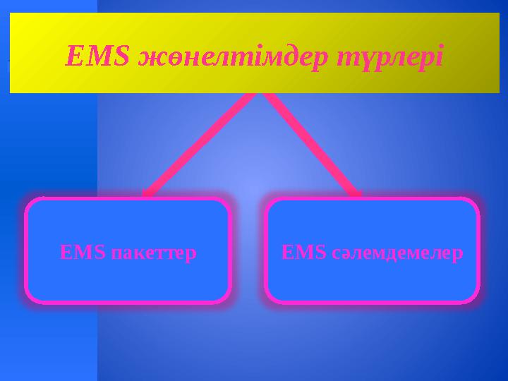 EMS жөнелтімдер түрлері EMS пакеттер EMS сәлемдемелер