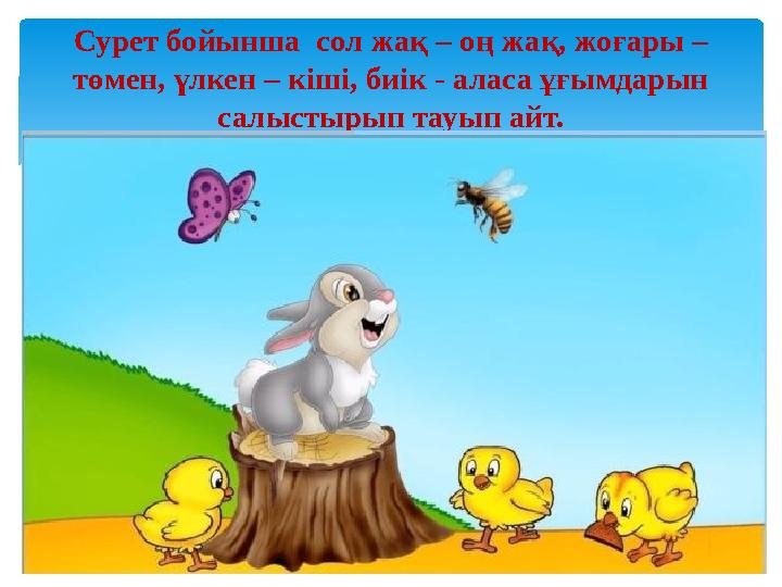 Сурет бойынша сол жақ – о ң жақ, жоғары – төмен, үлкен – кіші, биік - аласа ұғымдарын салыстырып тауып айт.