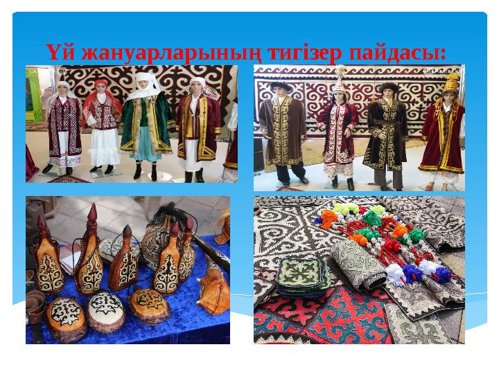 Үй жануарларының тигізер пайдасы: