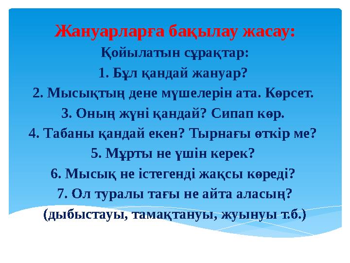 Жануарларға бақылау жасау: Қойылатын сұрақтар: 1. Бұл қандай жануар? 2. Мысықтың дене мүшелерін ата. Көрсет. 3. Оның жүні қа